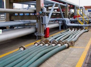 Flexible Hose