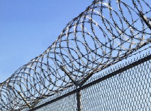 razor-barbed-wire