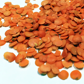 Masoor Dhal