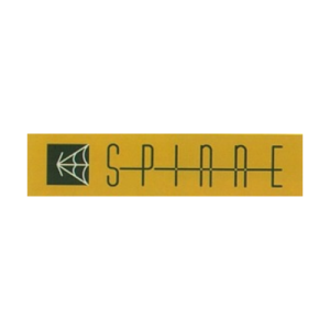 Spinne