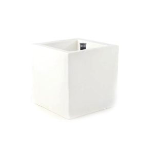 cubo