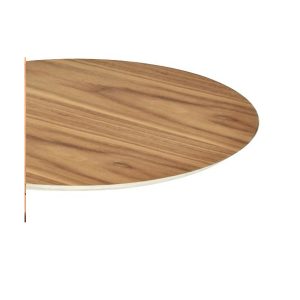 veneer
