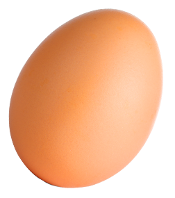 egg-1