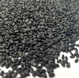 tukmaria-seeds-basil