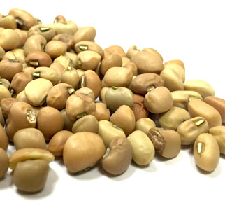 brown-beans