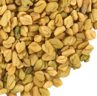 fenugreek seed