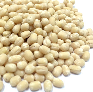urad